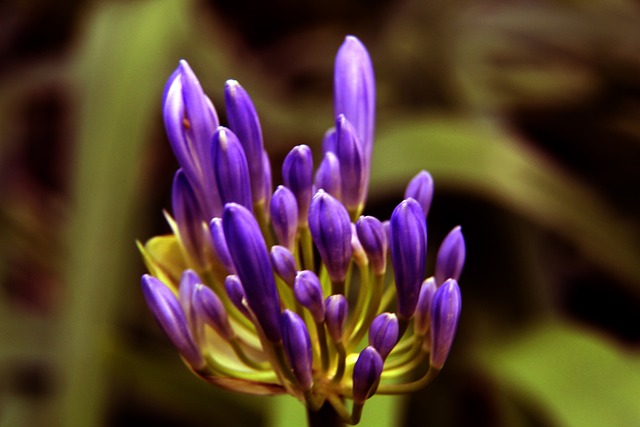 次神扑的背 次神扑的背