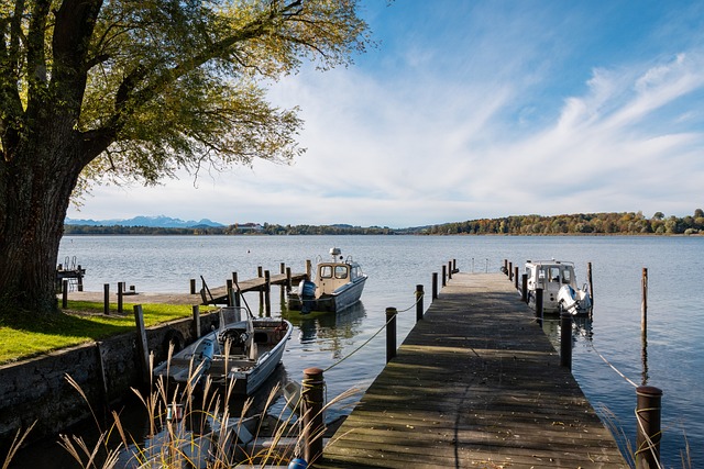 敏捷的速度 敏捷的速度