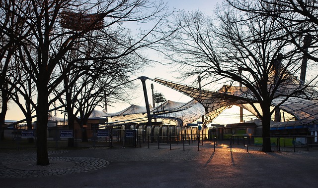 扭伤被迫暂 扭伤被迫暂